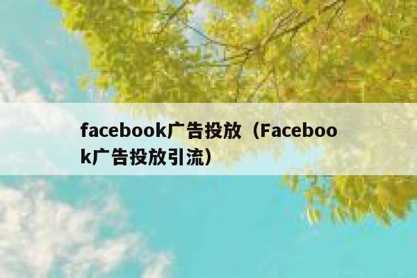 facebook广告投放（Facebook广告投放引流） 第1张