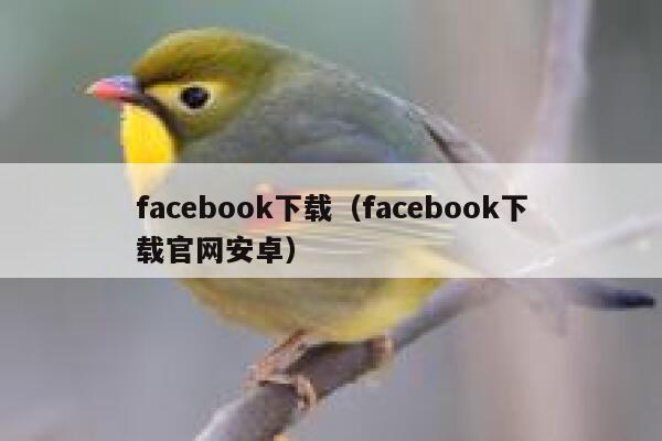 facebook下载（facebook下载官网安卓） 第1张
