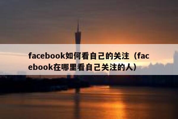 facebook如何看自己的关注（facebook在哪里看自己关注的人） 第1张