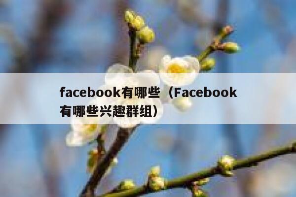 facebook有哪些（Facebook有哪些兴趣群组） 第1张