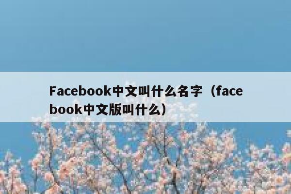 Facebook中文叫什么名字（facebook中文版叫什么） 第1张