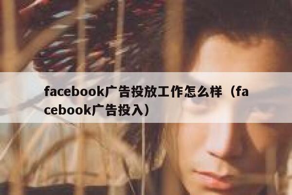 facebook广告投放工作怎么样（facebook广告投入） 第1张