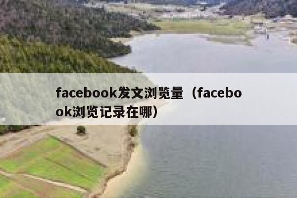facebook发文浏览量（facebook浏览记录在哪） 第1张