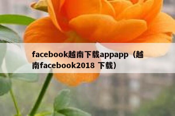 facebook越南下载appapp（越南facebook2018 下载） 第1张