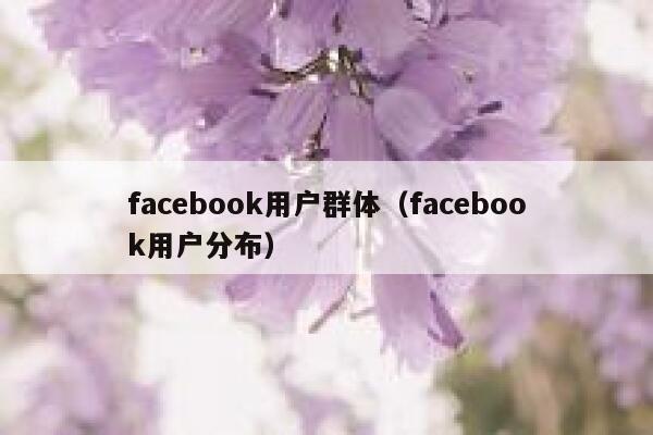 facebook用户群体（facebook用户分布） 第1张