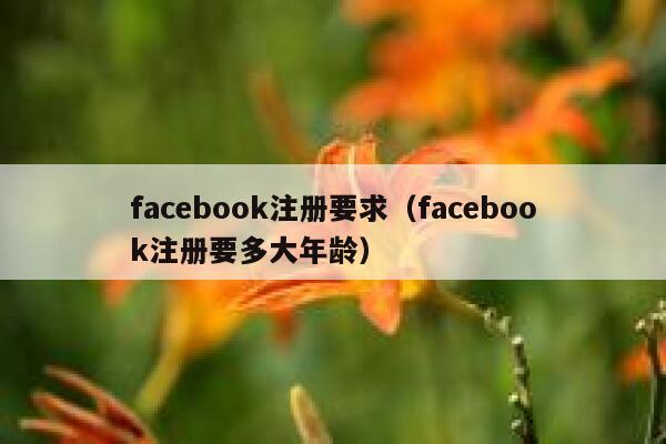 facebook注册要求（facebook注册要多大年龄） 第1张