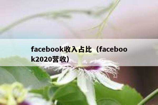 facebook收入占比（facebook2020营收） 第1张
