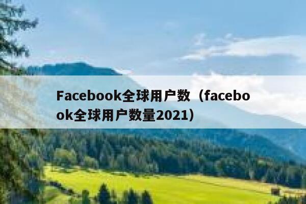 Facebook全球用户数（facebook全球用户数量2021） 第1张