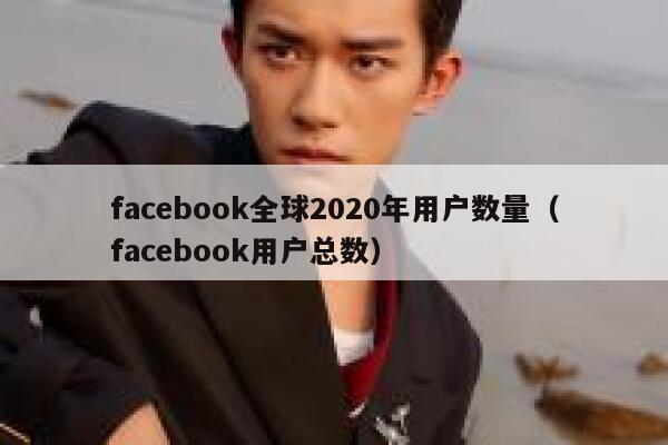 facebook全球2020年用户数量（facebook用户总数） 第1张