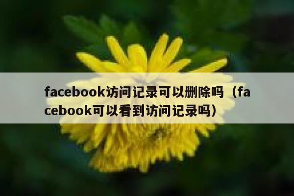 facebook访问记录可以删除吗（facebook可以看到访问记录吗） 第1张