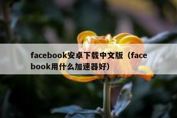 facebook安卓下载中文版（facebook用什么加速器好） 第1张