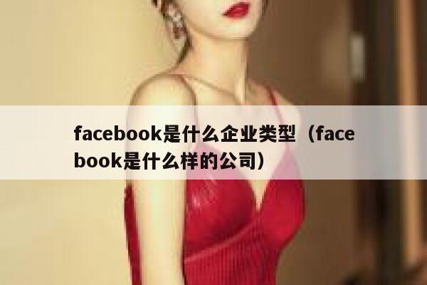 facebook是什么企业类型（facebook是什么样的公司） 第1张