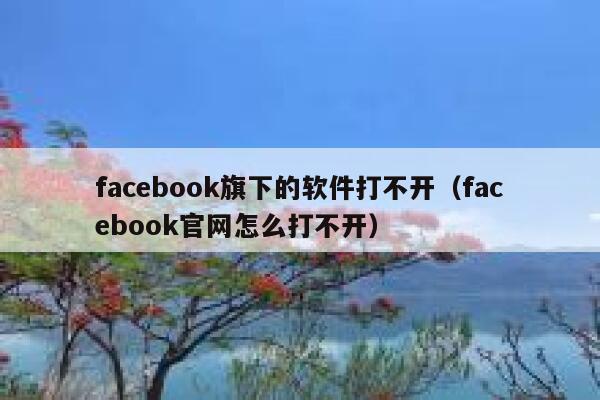 facebook旗下的软件打不开（facebook官网怎么打不开） 第1张