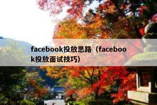 facebook投放思路（facebook投放面试技巧） 第1张