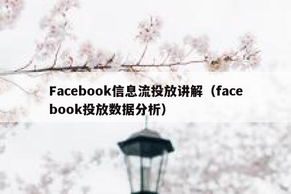 Facebook信息流投放讲解（facebook投放数据分析） 第1张