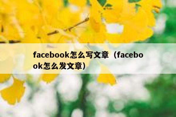 facebook怎么写文章（facebook怎么发文章） 第1张