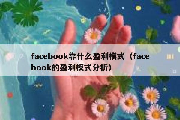 facebook靠什么盈利模式（facebook的盈利模式分析） 第1张