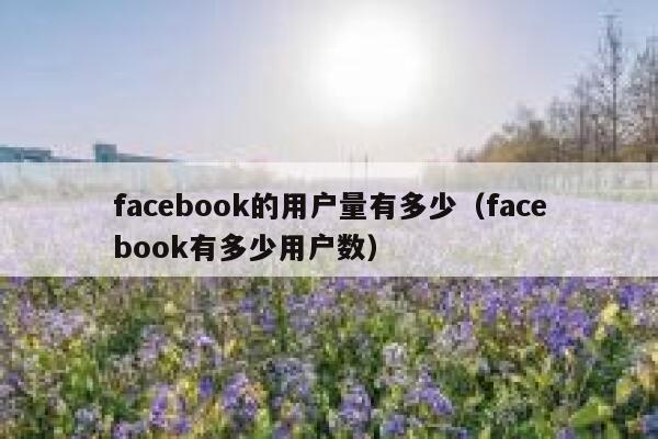 facebook的用户量有多少（facebook有多少用户数） 第1张