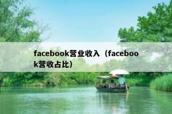 facebook营业收入（facebook营收占比） 第1张
