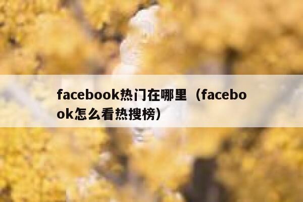 facebook热门在哪里（facebook怎么看热搜榜） 第1张