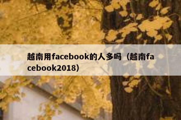 越南用facebook的人多吗（越南facebook2018） 第1张