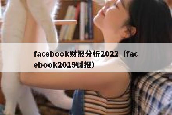facebook财报分析2022（facebook2019财报） 第1张