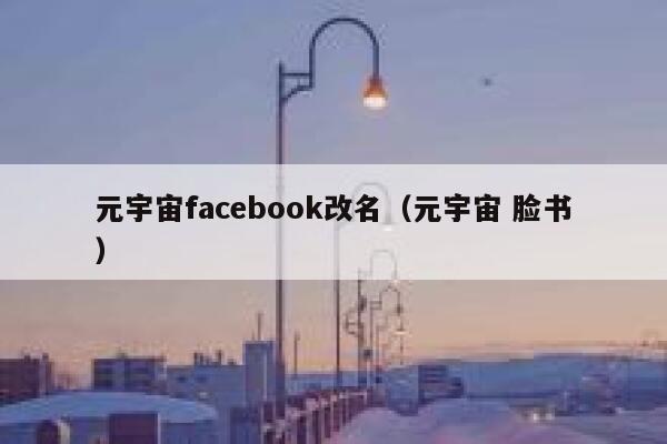 元宇宙facebook改名（元宇宙 脸书） 第1张