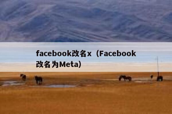 facebook改名x（Facebook改名为Meta） 第1张