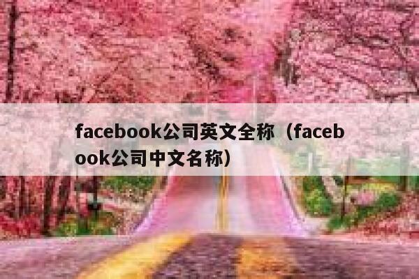 facebook公司英文全称（facebook公司中文名称） 第1张