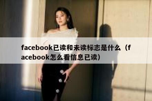 facebook已读和未读标志是什么（facebook怎么看信息已读） 第1张
