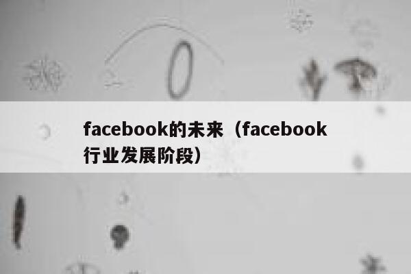 facebook的未来（facebook行业发展阶段） 第1张