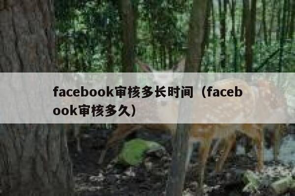 facebook审核多长时间（facebook审核多久） 第1张