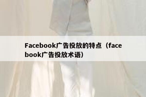 Facebook广告投放的特点（facebook广告投放术语） 第1张