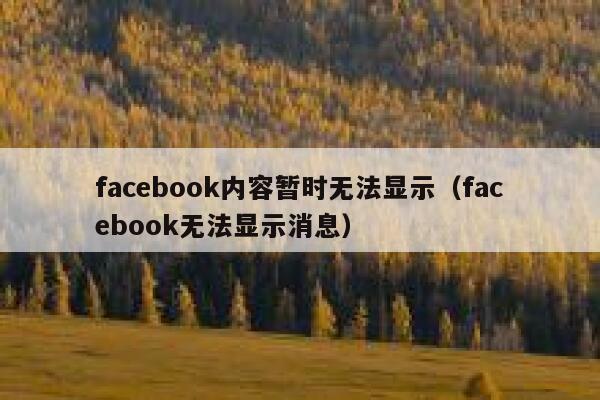 facebook内容暂时无法显示（facebook无法显示消息） 第1张