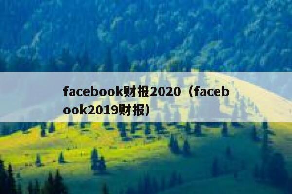 facebook财报2020（facebook2019财报） 第1张