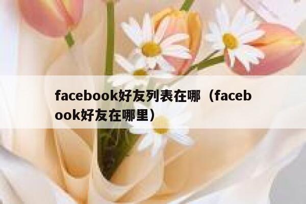 facebook好友列表在哪（facebook好友在哪里） 第1张