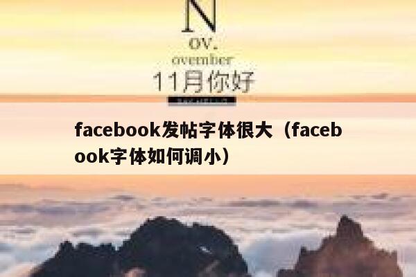 facebook发帖字体很大（facebook字体如何调小） 第1张