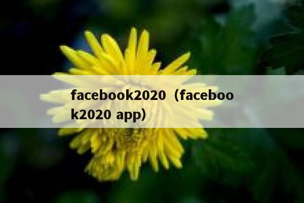 facebook2020（facebook2020 app） 第1张