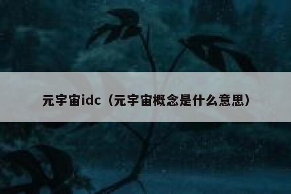 元宇宙idc（元宇宙概念是什么意思） 第1张