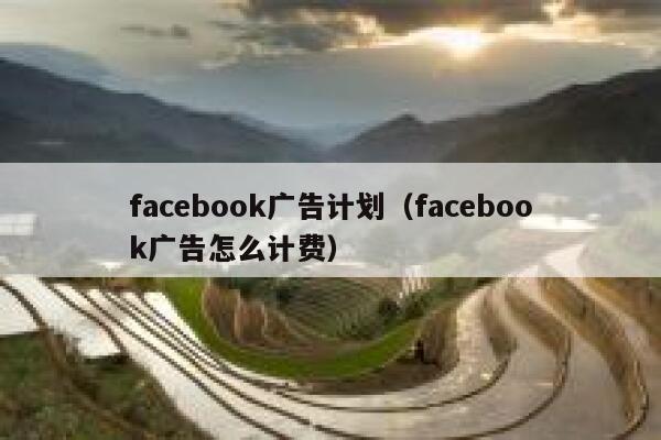 facebook广告计划（facebook广告怎么计费） 第1张