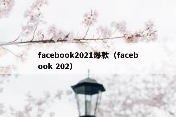 facebook2021爆款（facebook 202） 第1张
