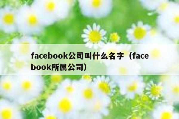 facebook公司叫什么名字（facebook所属公司） 第1张