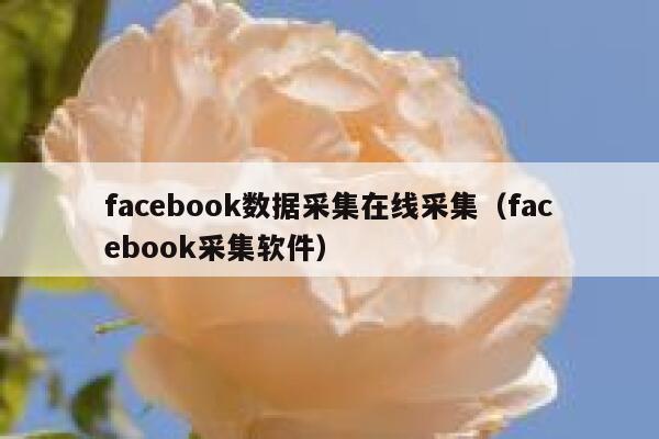facebook数据采集在线采集（facebook采集软件） 第1张