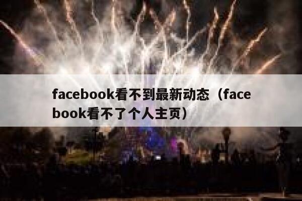 facebook看不到最新动态（facebook看不了个人主页） 第1张
