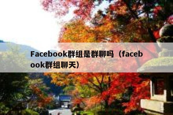 Facebook群组是群聊吗（facebook群组聊天） 第1张