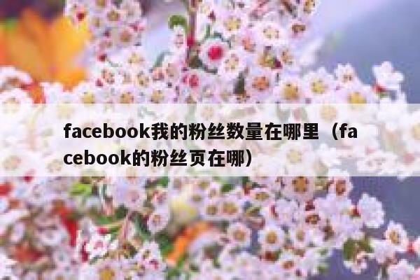 facebook我的粉丝数量在哪里（facebook的粉丝页在哪） 第1张