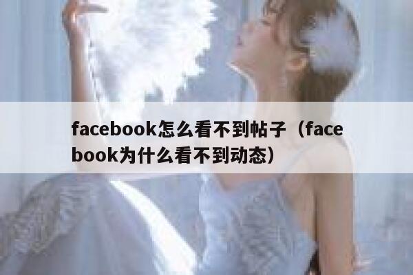 facebook怎么看不到帖子（facebook为什么看不到动态） 第1张