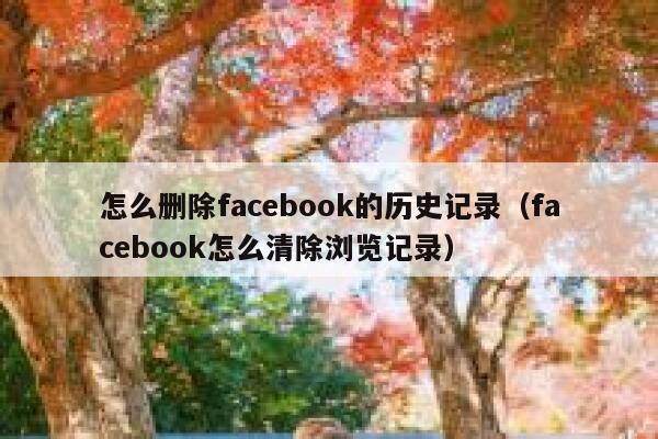 怎么删除facebook的历史记录（facebook怎么清除浏览记录） 第1张