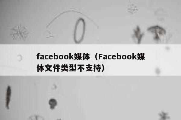 facebook媒体（Facebook媒体文件类型不支持） 第1张