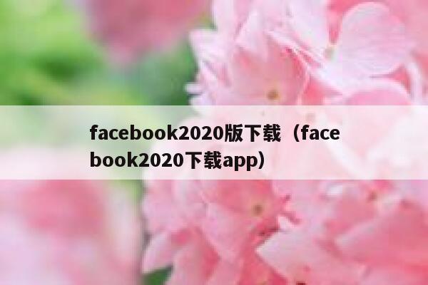 facebook2020版下载（facebook2020下载app） 第1张